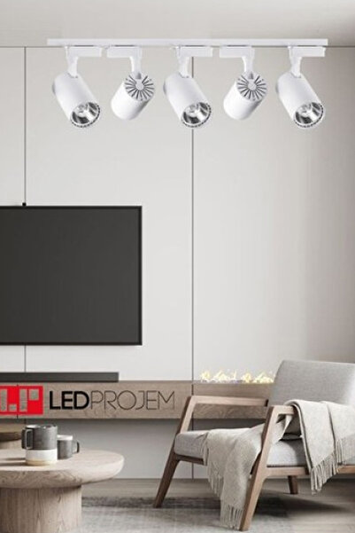 LED PROJEM RAY SPOT 30 WATT LED GÜNIŞIĞI 5 Lİ SET