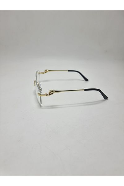 RC RAY CARTER Raycarter Rc S2770 Unisex Sunglasses