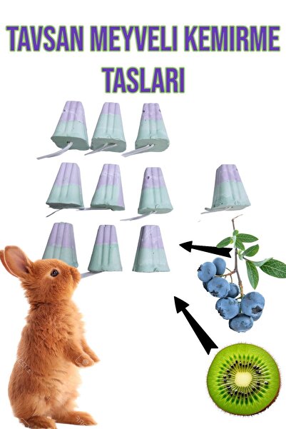 ozzipetshop Sağlıklı Diş Gelişimi Için Çift Lezzetli Tavşan Kemirme Taşları 1...