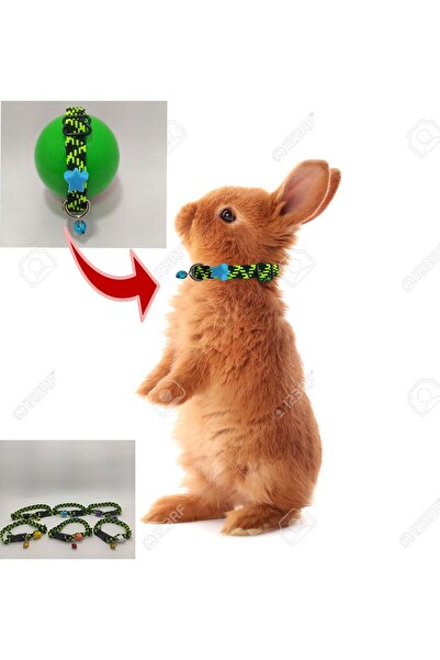 ozzipetshop Hollanda Lop Tavşanı Boyun Tasması 1 Adet