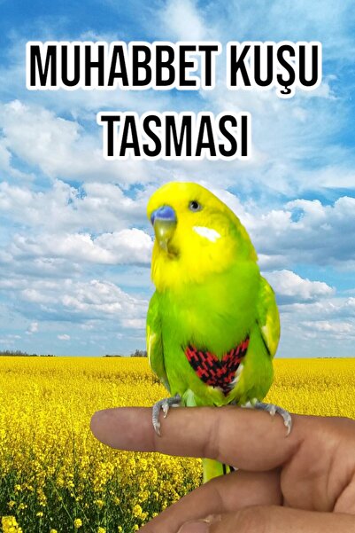 ozzipetshop Muhabbet Kuşu Için Özel Gezdirme Dolastırma Tasması