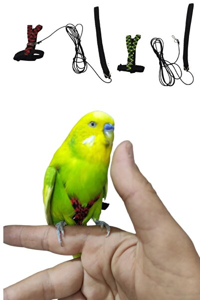 ozzipetshop Kuş Tasması - Muhabbet, Forpus, Sevda & Cennet Papağanı Için | 14...