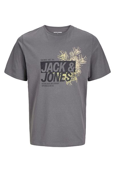 Jack & Jones Jjjaxon Men's T-Shirt 12269390