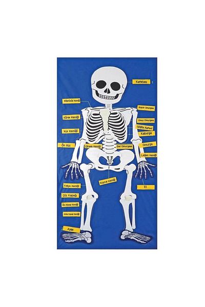 Skygo And-9150 Velvet Skeleton Board 5119