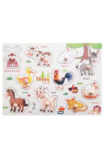 Picodino Set puzzle lemn, 5 tablite incastru in limba romana, 49 piese, eduBebe, M1-113SET