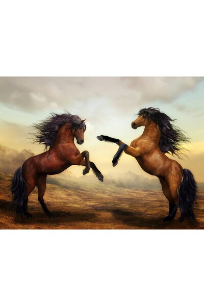 ve Tablou Canvas, Campioni, 60 x 45 cm, Rama lemn, Multicolor