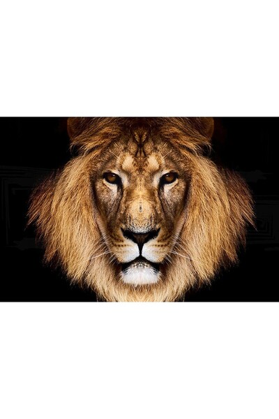 ve Tablou Canvas,Leu, 60 x 45 cm, Rama lemn, Multicolor