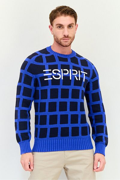 Esprit Men Crew Neck Knitted Sweater, Multicolour