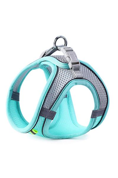Choice M Blue Cat Dog Harness Vest Chest Rope Set Reflective Breathable Adjustable Pet Harness for Small Me