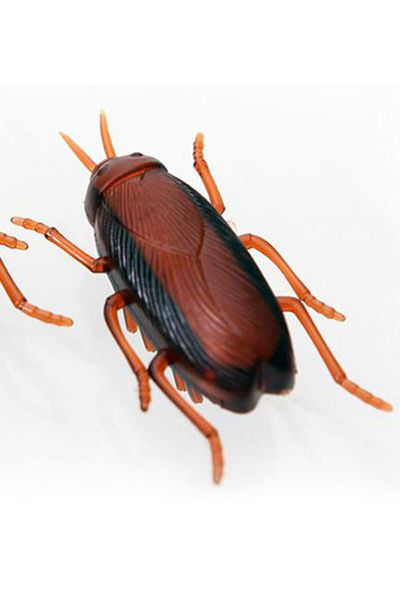Choice H Mini Electric Bug Pet Dog Cat Toy Interactive Cute Ladybird Beetle Animal Shape Cat Toys Walking .