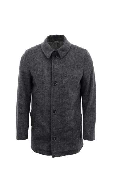 Giovane Gentile Mont / Kaban