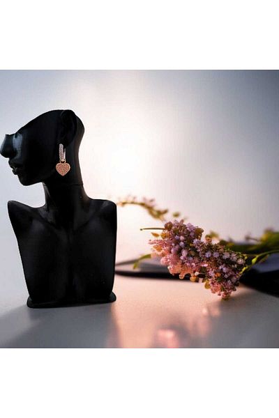feyza collection Zircon Stone Dangle Heart Vip Steel Earrings