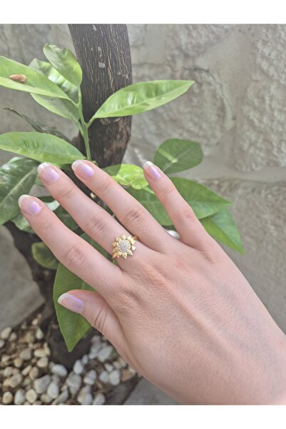 Panelya خاتم عباد الشمس