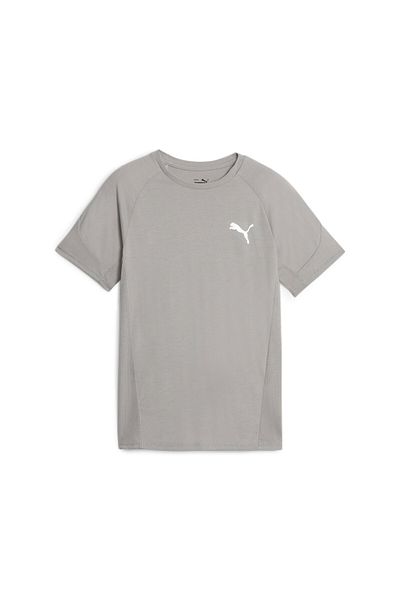 Puma Youth Boys Evostripe T-Shirt - Gray