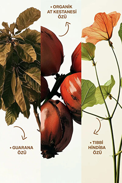 Insight Dökülme Karşıtı Güçlendirici Bakım 100 ml.