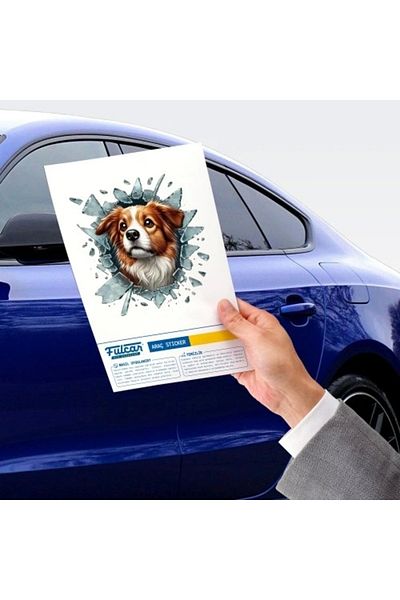 Store Fulcar Australian Shepherd Car Sticker