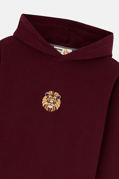 Reflect Studio Aslan Supersoft Hoodie - Claret Red