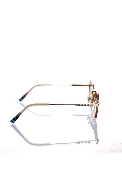 AR COLLECTİON Unisex Metal Sunglasses Ar249 C6