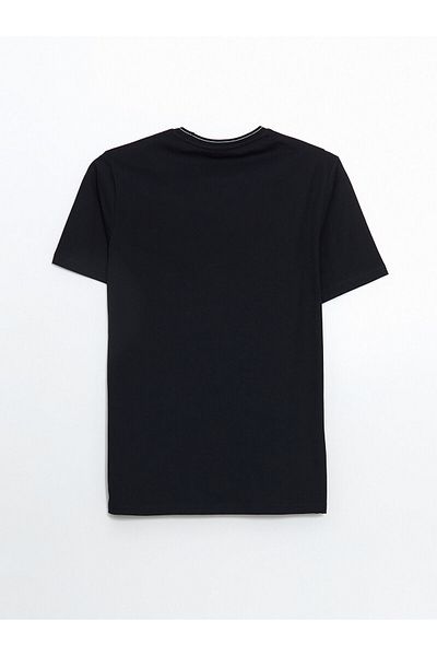 LC Waikiki Crew Neck Printed Men's T-Shirt