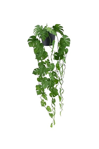 DRAMA HOME نبات صناعي معلق نباتات اصطناعية للمنزل وغرفة النوم والحديقة في الأ...