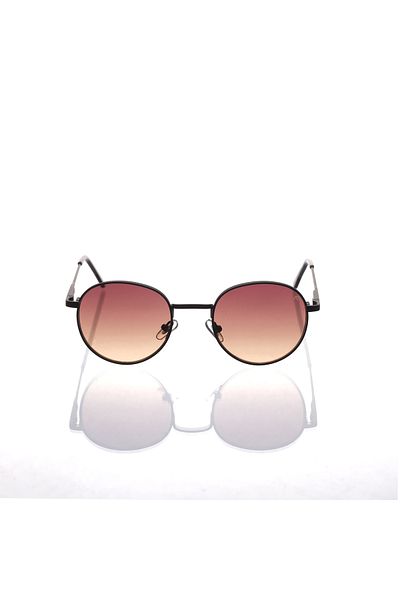 AR COLLECTİON Plus Unisex Metal Sunglasses Ar135 C31