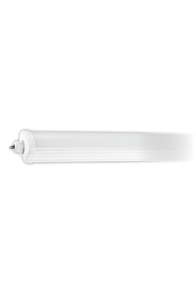 Cata 10 قطع Ct 2480 طقم الطوارئ 40 وات 120 سم إضاءة LED مقاومة للماء 6400 ك ضوء أبيض