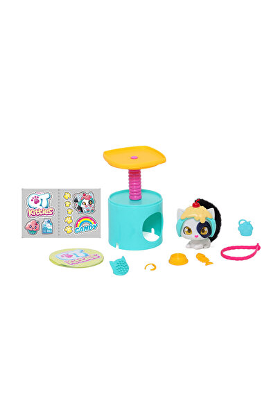 QT Kitties Candy Yavru Kedi