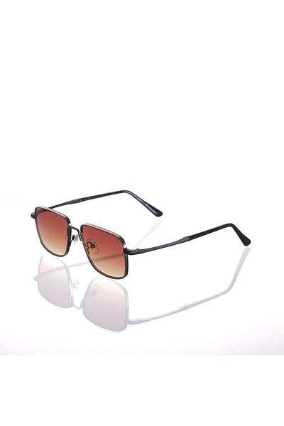 AR COLLECTİON Plus Men Metal Sunglasses Ar262 C35