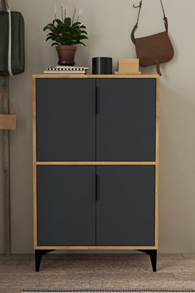 Evmo Home 1403 Ada Ayakkabılık 4 Raflı 4 Kapaklı Çok Amaçlı Dolap Kiler Safir Antrasit