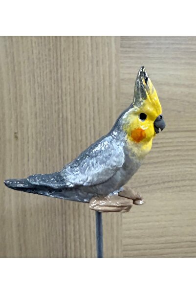 ivtasarim İvtasarim cennet papağanı saksı süsü