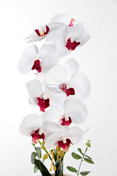 Yapay Çiçek Deposu Saksıda Yapay Baskılı Islak Orkide 55 cm Beyaz-Bordo