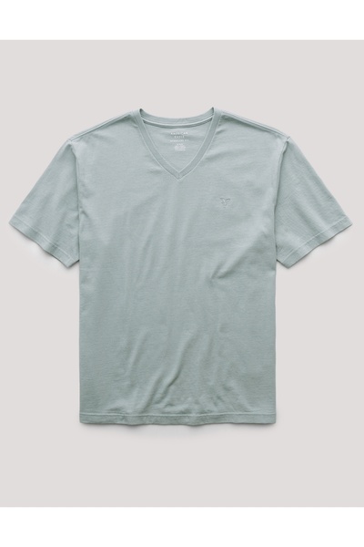 AMERICAN EAGLE Ae Super Soft Icon V-Neck T-Shirt