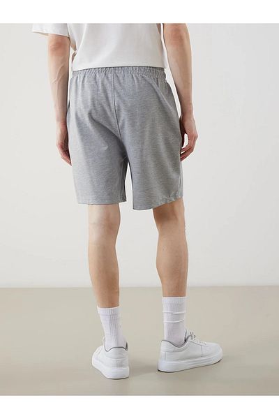 LC Waikiki Standard Fit Men's Shorts