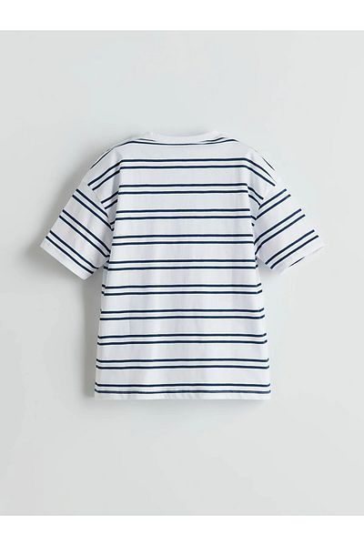 LC Waikiki Crew Neck Striped Baby Boy T-Shirt