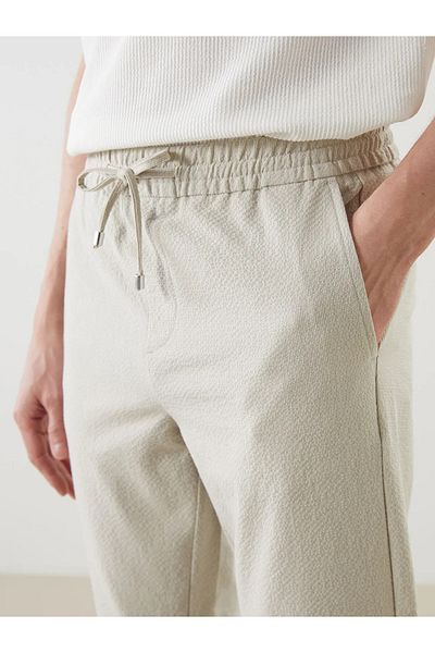 LC Waikiki Ανδρικό παντελόνι Standard Fit