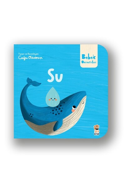 Sincap Kitap Kar