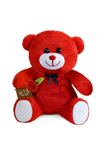 Özgüner Oyuncak 75 Cm Elinde Gül Tutan Sevimli Peluş Ayıcık (iyiki Varsın)