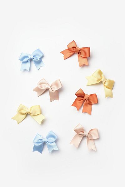 Le Mabelle Multicolored Autumn 8-Piece Ribbon Bow Clip Buckle Set