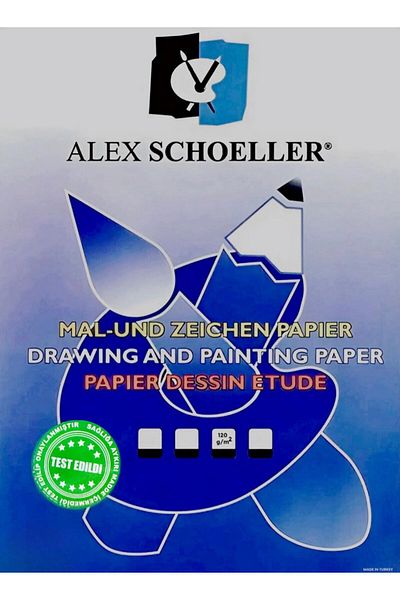 Alex Schoeller Hârtie de pictură 35 X 50 120 gr Pachet 100 (2,10 kg)
