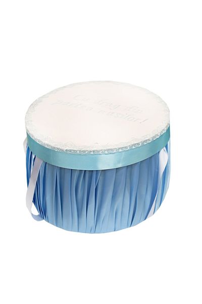 Recostore White-blue suitcase transport box, 30x25 cm, REC1249