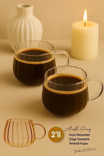 Anadolu Saray قطعتان من كوب البورسليكات الحراري المقاوم للحرارة مع كوب زجاجي بتصميم خط كوب تقديم القهوة
