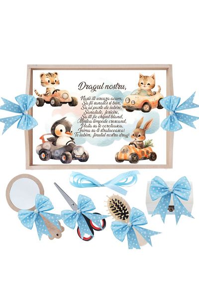 Recostore Set tava taiere mot, cu Animalute in masinute, bleu, 6 piese, 35x20 cm, REC1967/321