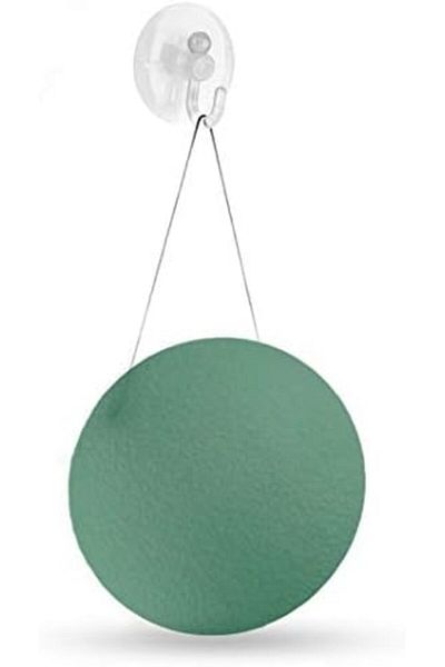Other Sponge for Washing and Purifying the Face, Green