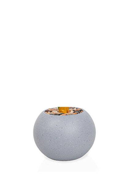 Generic Green corn tree in a circular plastic container