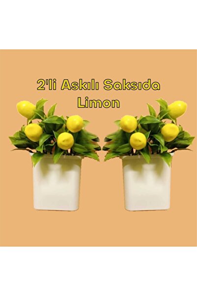 Genel Markalar Yapay Çiçek 2'li Askılı Ve Yapışkan Aparatlı Saksıda Limon Duvar Süsü