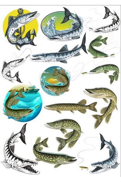 Reysa Tasarım Fish Sticker Set
