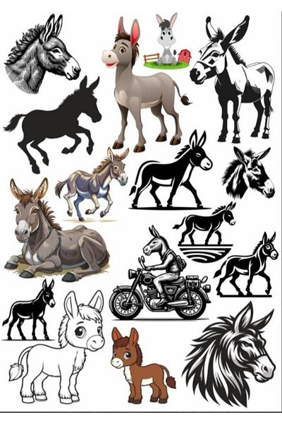 Reysa Tasarım Donkey Sticker Set