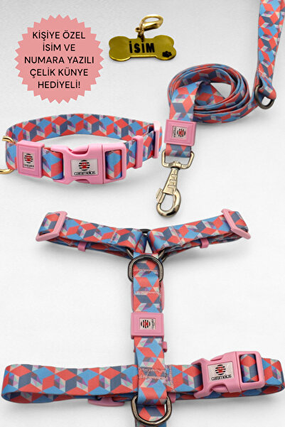 CARAMELOS KÖPEK TASMA SETİ KİŞİYE ÖZEL İSİMLİ TASMA, H TİPİ TASMA ,GÖVDE BOYUN GEZDİRME TASMASI, KÖPEK KÜNYE