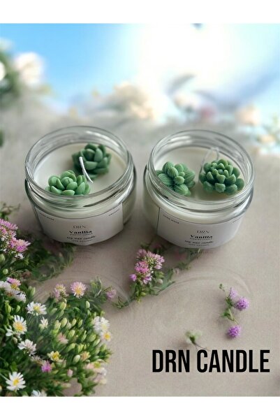 drntasarim SOYAWAX DOĞAL SKULENT SÜSLÜ VANİLYA KOKULU MUMLAR