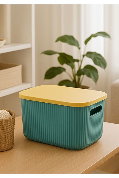 HOMİNG Multi-Purpose Organizer Box with Lid -box-jewelry Makeup Bathroom Kitchen Organizer Org-2013